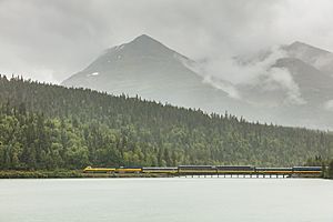 Archivo:Ferrocarril White Pass, Portage, Alaska, Estados Unidos, 2017-08-31, DD 39