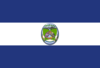 Flag of Irupana.svg