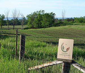 Archivo:Greenbelt Ottawa