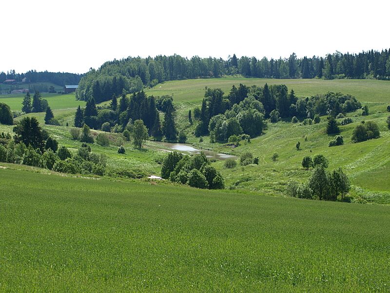 Halikonjokilaakso