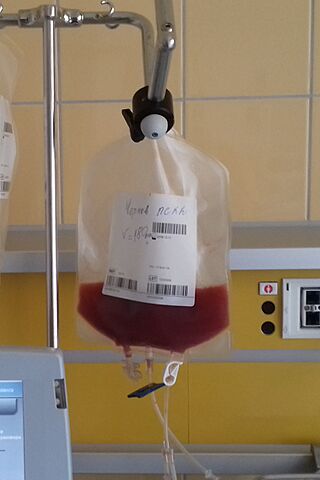 Hematopoietic stem cell.jpg
