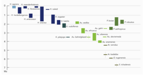 Archivo:Human evolution timeline