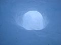 Igloo interior