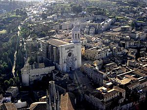 Archivo:Imagen de Girona desde el aire