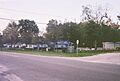 Istachatta Library