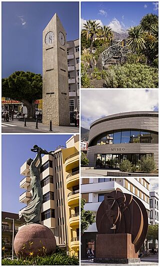 Los Llanos Collage.jpg