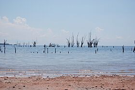 Mar Chiquita 2007 02.jpg