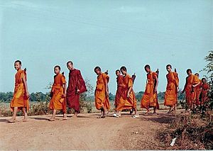 Archivo:Monk on pilgrimage