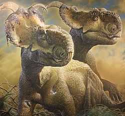 Pachyrhinosaurus Perotorum Alaska copyright web.jpg