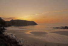 Playa amio.jpg