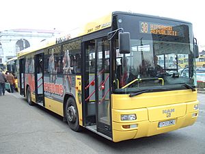 Archivo:Ploiesti bus 2