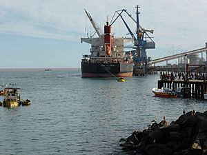 Archivo:Puerto de San Antonio, Chile, Región de Valparaíso; buque Ever Alliance, matriculado en Panamá, IMO 9423255