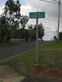 Sector Genaro Velez en Barrio Perchas 2, San Sebastián, Puerto Rico.jpg