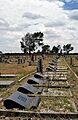 Sharpeville Massacre Graves, Phelindaba Cemetery, Sharpeville, Vereeniging, South Africa