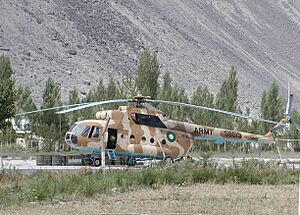 Archivo:SkarduAirport1071