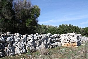 Archivo:Son Catlar - wall with bastion