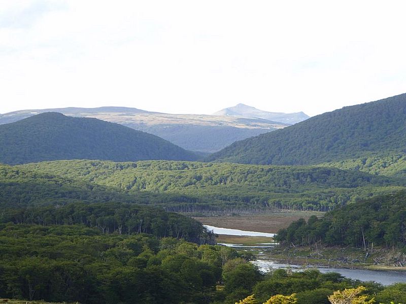 TDFValley