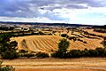 Temps de segar, Ribera d'Ondara - 52169865440