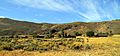 Tule Lake camp main