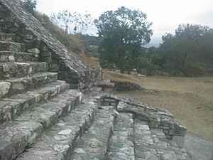 Archivo:Zona arqueologica de San Martín (ruinas)