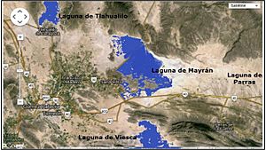 Archivo:¿Por qué Región Lagunera?