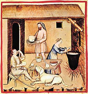 Archivo:9-alimenti, formaggi,Taccuino Sanitatis, Casanatense 4182.