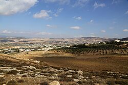 Ain Albasha District, Jordan - panoramio (5).jpg