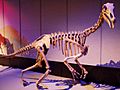 Alxasaurus Tyrrell