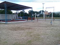 Archivo:Anfiteatro de la Plaza Pereira