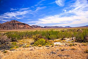 Archivo:Ash Meadows Nat'l. Wildlife Ref., NW of Pahrump, Nev - (17479519654)