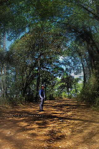 Bosque Las Victorias (100973153).jpeg