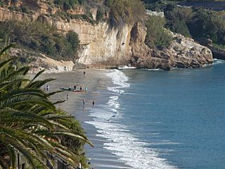 Burriana (6861858288).jpg