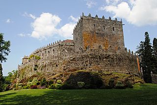 Castelo de Soutomaior 2011.JPG