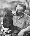 Cherry Kearton with the famous chimpanzee "Toto"