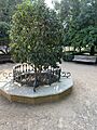 Conjunto de Alcorques-banco de los Jardines del Genil (1)