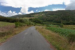 Couso de Arriba-Campolongo-Negreira-Galiza.jpg