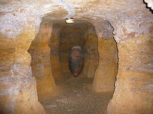 Archivo:Cueva de Medrano (Argamasilla de Alba)