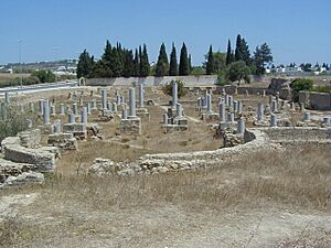 Archivo:Damous el Karita vue ouest (Carthage)