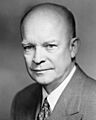 Dwight David Eisenhower 1952 crop