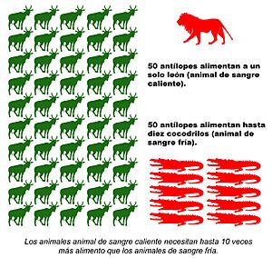 Archivo:Endotermia y hectotermia