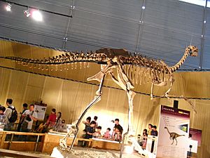 Archivo:Gigantoraptor elrianensis skeleton