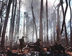 Archivo:Hill 875 Vietnam