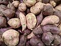 Ipomoea batatas - Tubers