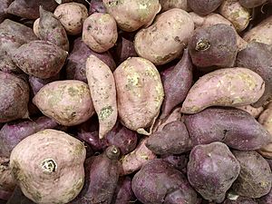 Archivo:Ipomoea batatas - Tubers
