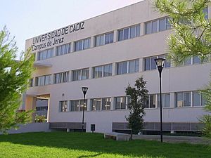 Archivo:Jerez Campus 01