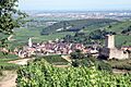 Katzenthal1