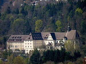 Archivo:Kloster Gorheim SIG2009-04-15 006