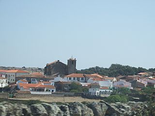 Mata de Alcántara 03.jpg