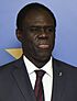 Michel Kafando - 2015 (cropped).jpg
