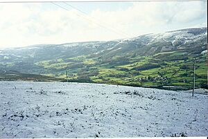 Archivo:Millares 1999